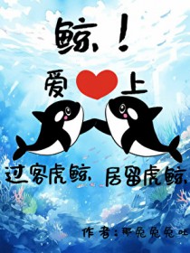 鲸！过客虎鲸爱上居留虎鲸